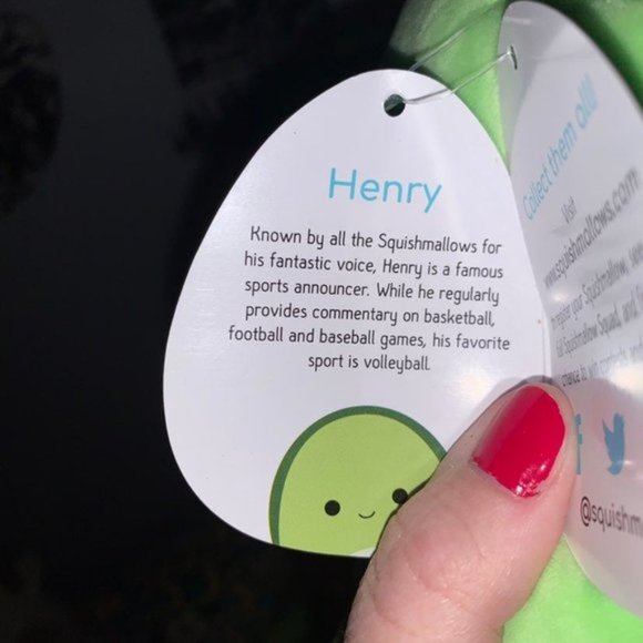 5\" Henry the Turtle Squishmallow - Picture 3 of 3